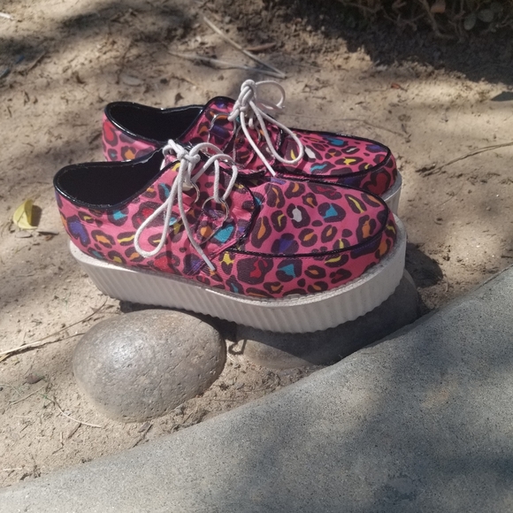 Rainbow leopard creepers - Picture 2 of 4